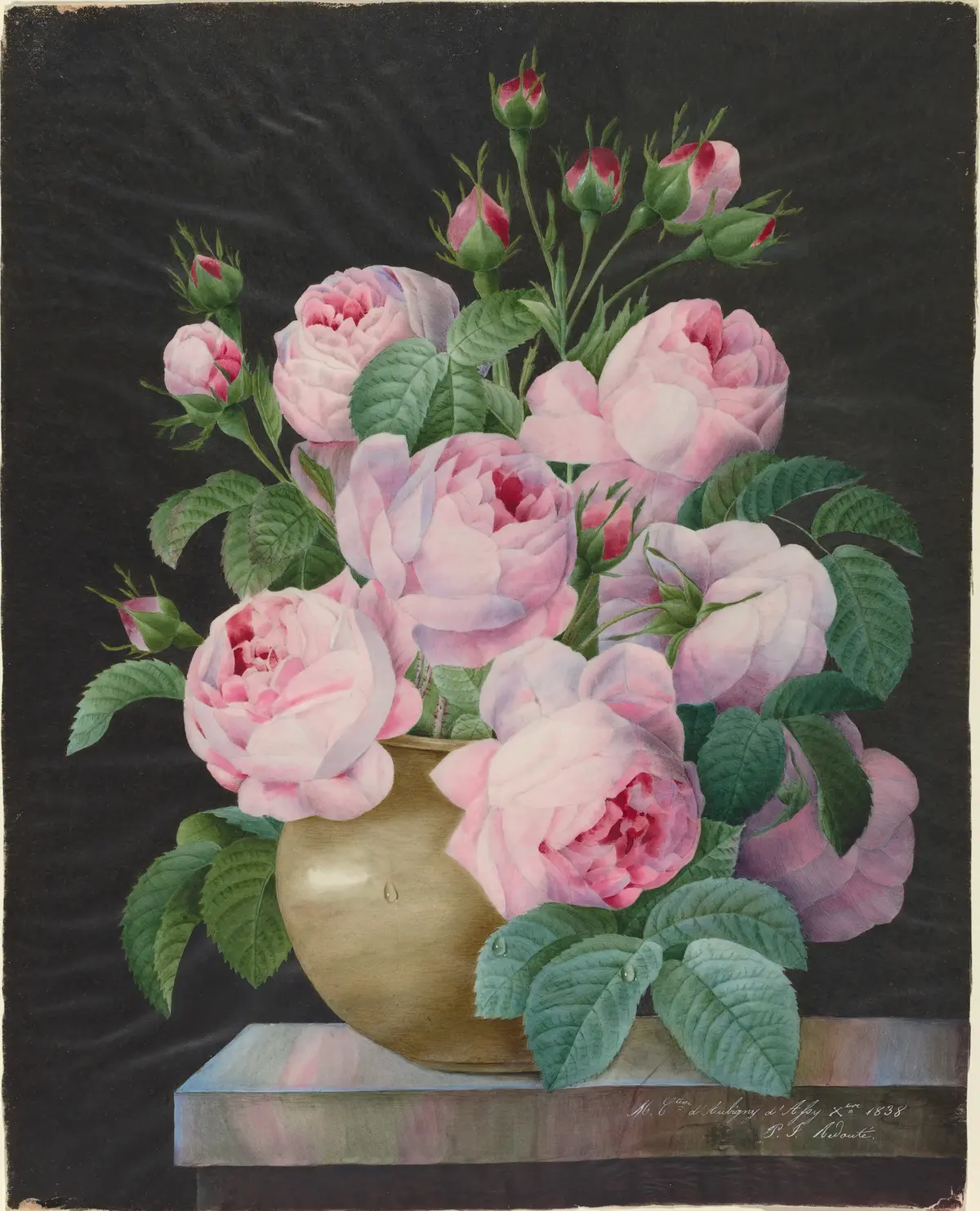 Vazoda pembe güller — 1838 botanik resmi (kamu malı)